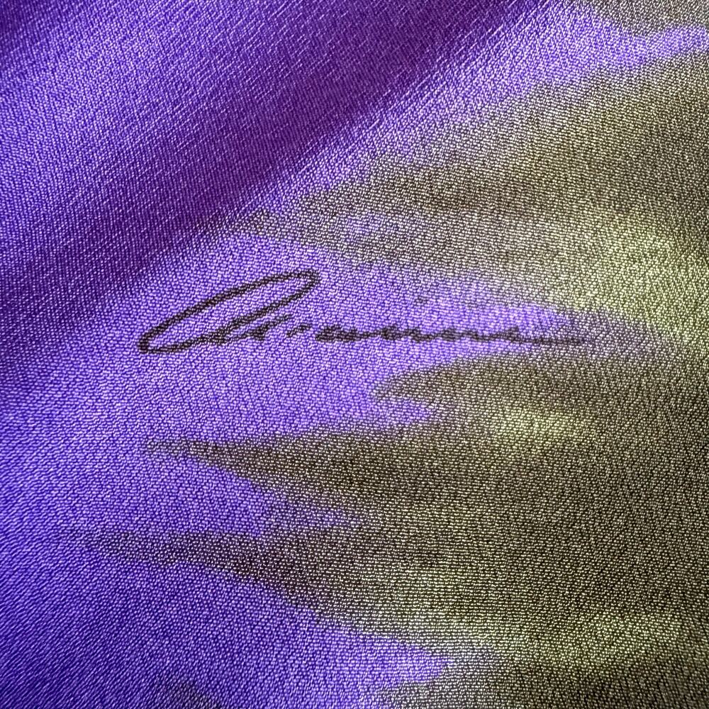 Ramona LaRue Silk Multicolor Batwing V Neck Pullover Blouse Size S - Picture 6 of 6
